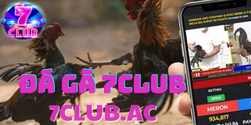 da-ga-7club-trai-nghiem-dinh-cao-trong-the-gioi-da-ga-truc-tuyen da-ga-7club-trai-nghiem-dinh-cao-trong-the-gioi-da-ga-truc-tuyen