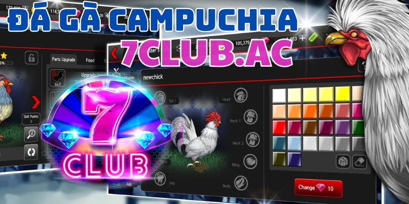 da ga campuchia 7club dia chi tin cay cho nguoi me da ga 2 da ga campuchia 7club dia chi tin cay cho nguoi me da ga 2