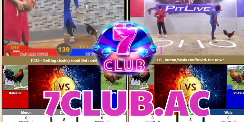 da ga cua dao kinh nghiem choi da ga hieu qua tai 7club 2 da ga cua dao kinh nghiem choi da ga hieu qua tai 7club 2