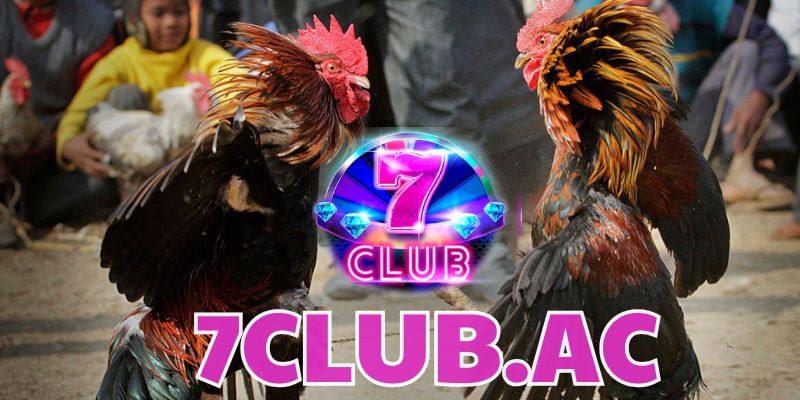 da ga cua sat huong dan bi kip choi da ga cho nguoi moi 2