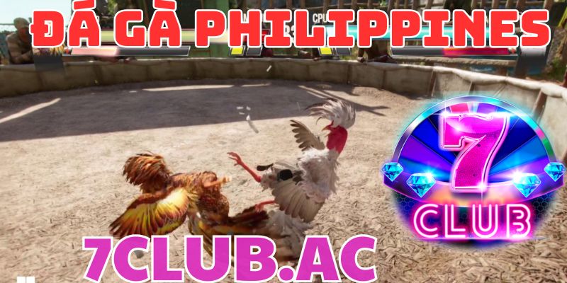 da ga philippines 7club trai nghiem da ga online dinh cao 1 da ga philippines 7club trai nghiem da ga online dinh cao 1