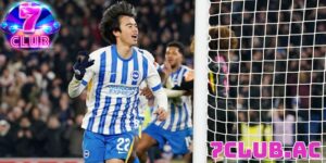 7club club web or brighton danh bay chelsea ra khoi fa cup